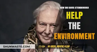 David Attenborough's Legacy: Inspiring Global Environmental Action and Conservation