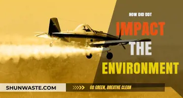 DDT's Environmental Legacy: Unraveling the Chemical's Ecological Consequences