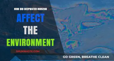 Deepwater Horizon's Devastating Environmental Impact: A Comprehensive Analysis