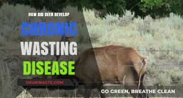 Unraveling the Origins of Chronic Wasting Disease in Deer Populations