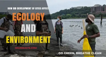 Urban Growth's Impact: How City Development Alters Ecology and Environment
