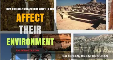 Early Civilizations: Environmental Adaptation and Human Impact Explored