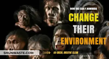Early Hominids: Shaping Their World Through Adaptation and Innovation