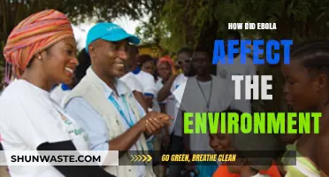 Ebola's Environmental Impact: Unseen Consequences of a Deadly Outbreak