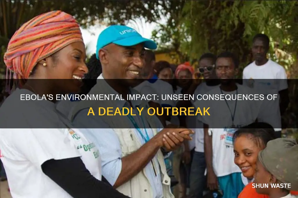 how did ebola affect the environment