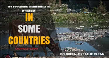 Economic Growth's Environmental Toll: A Global Perspective on Consequences