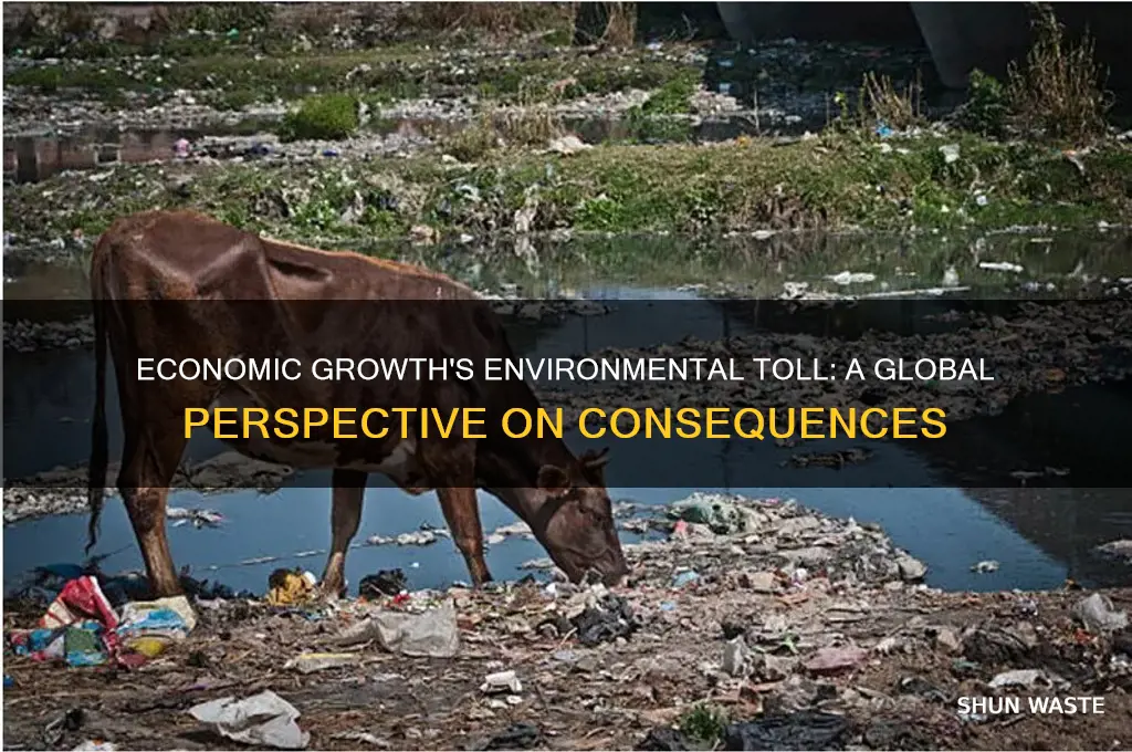 how did economic growth impact the environment in some countries