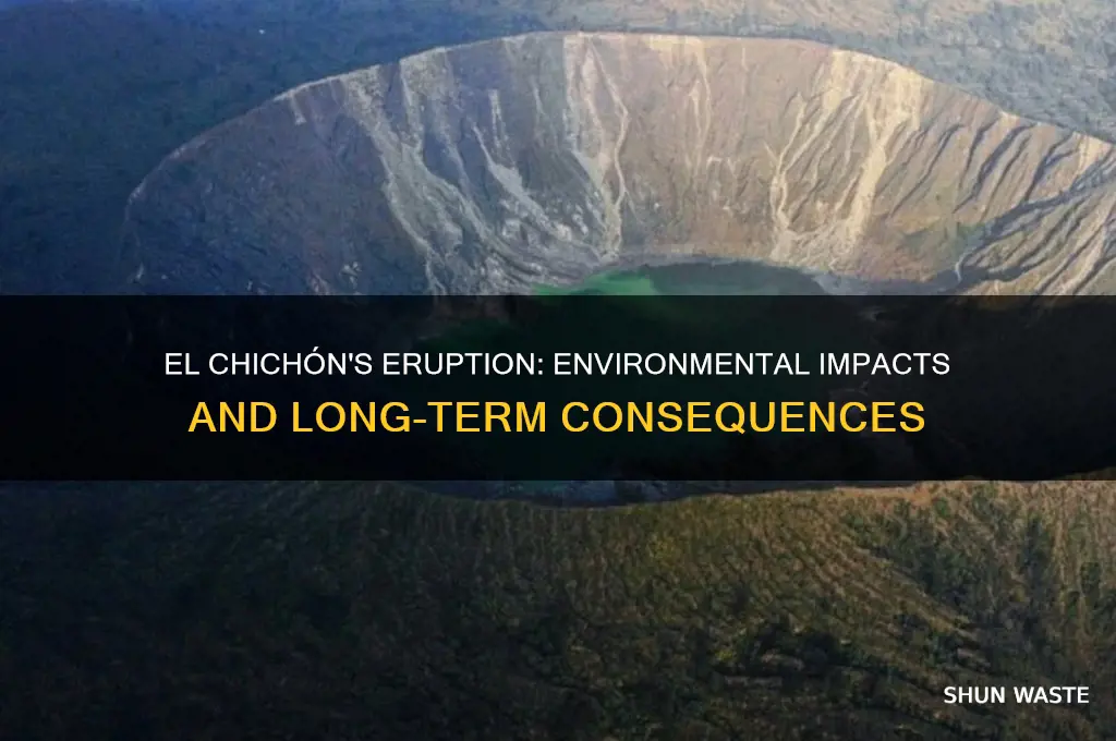 how did el chichon affect the environment