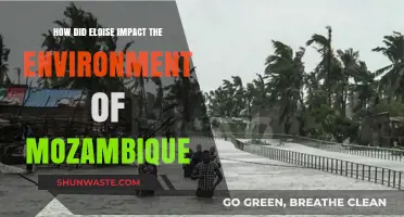 Eloise's Environmental Toll: Assessing Cyclone Damage in Mozambique