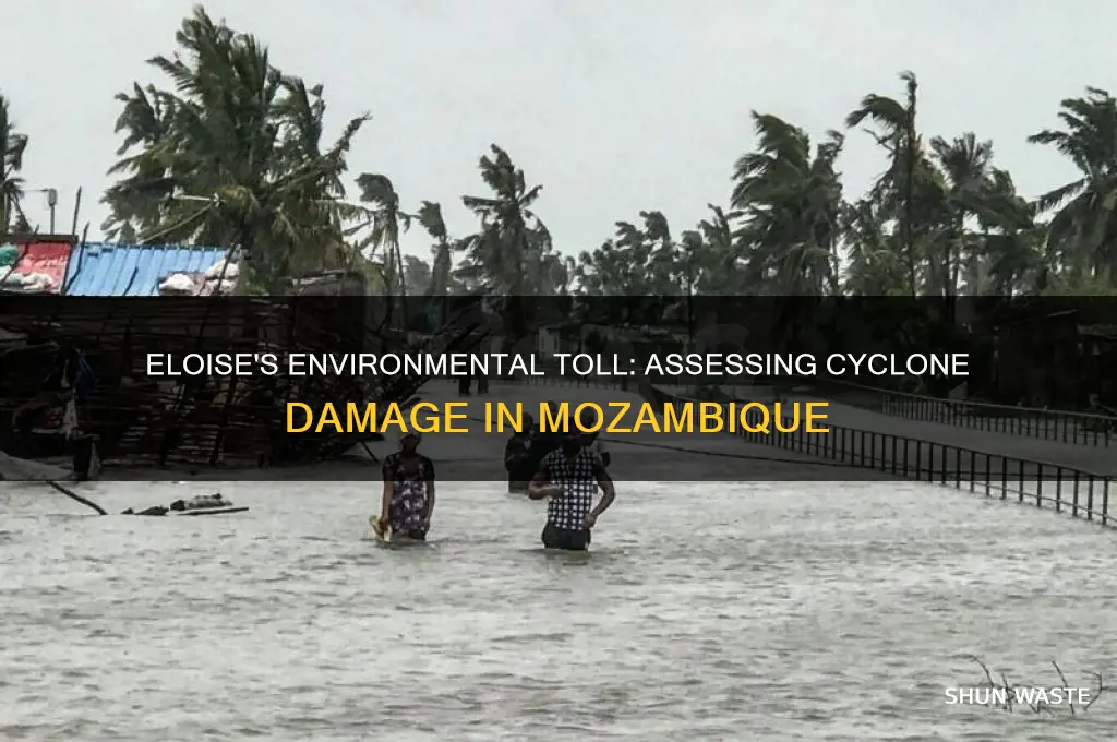 how did eloise impact the environment of mozambique