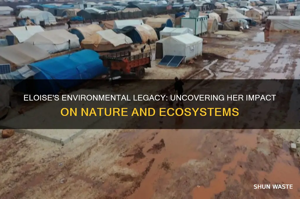 how did eloise impact the environment