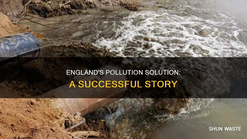 how did england fix their pollution problem