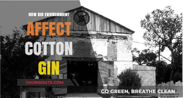 Environmental Impact on Cotton Gin Innovation and Agricultural Evolution