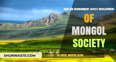 Environmental Shaping: The Role of Nature in Mongol Societal Evolution