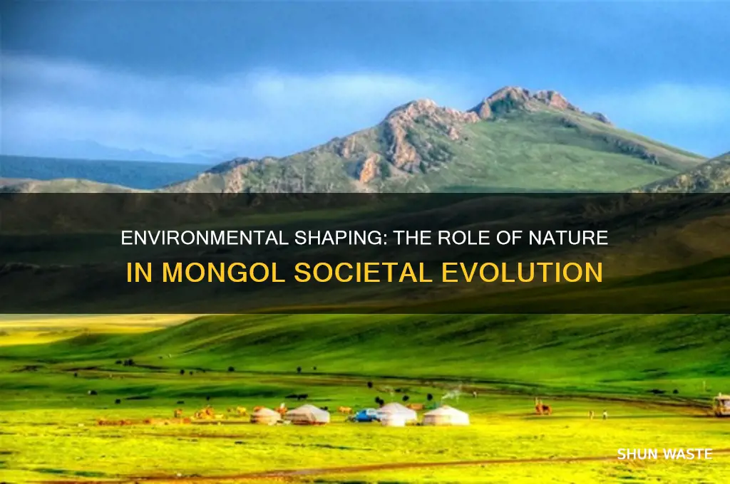 how did environment affect development of mongol society