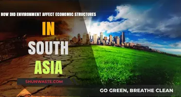 Environmental Shifts Shaping South Asia's Economic Evolution and Structures