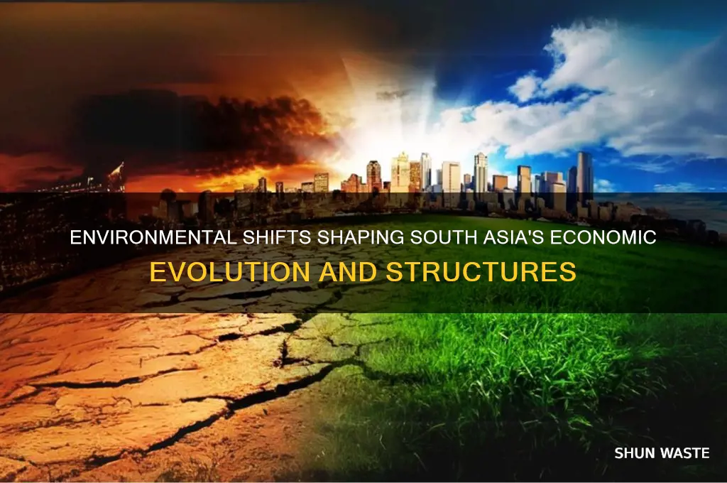how did environment affect economic structures in south asia