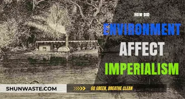Environmental Factors Shaping Imperialism: A Historical Analysis of Global Expansion