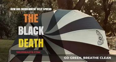 Environmental Factors That Fueled the Rapid Spread of the Black Death