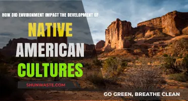 Nature's Influence: Shaping Native American Cultures and Traditions