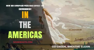 European Colonization's Environmental Impact on the Americas: A Historical Overview