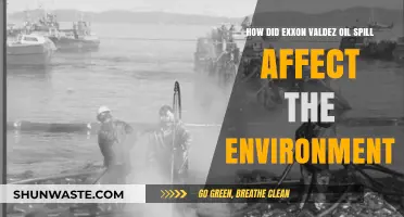 Exxon Valdez Oil Spill: Devastating Environmental Impacts and Long-Term Effects