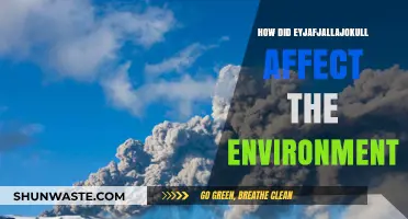 Eyjafjallajökull's Eruption: Environmental Impacts and Long-Term Consequences