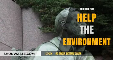 FDR's Green Legacy: Environmental Policies and Conservation Efforts