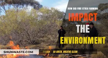 Fire Stick Farming: Environmental Impacts and Ecosystem Transformations Explored