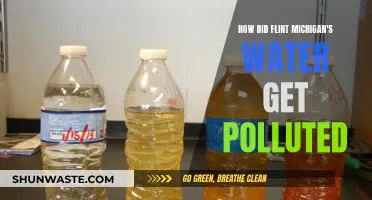 Flint's Water Crisis: A Tale of Neglect and Poisoned Pipes