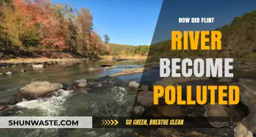 The Flint River Pollution Mystery: What Happened?