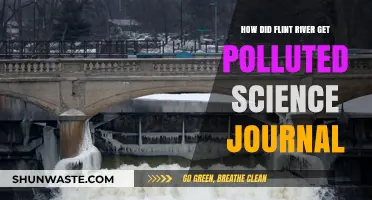 Flint River Pollution: Understanding the Science Behind It