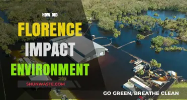 Florence's Environmental Legacy: Unraveling the Storm's Ecological Aftermath