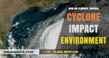 Florence's Environmental Aftermath: Assessing the Tropical Cyclone's Impact