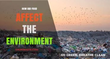 Food's Environmental Impact: How Our Diets Shape the Planet