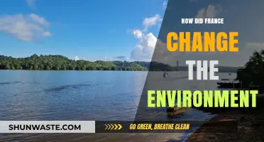 France's Environmental Transformation: Policies, Impacts, and Global Lessons