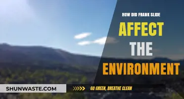 Frank Slide's Environmental Impact: Long-Term Effects on Ecosystem and Landscape