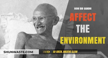Gandhi's Green Legacy: Environmental Impact of Non-Violent Resistance