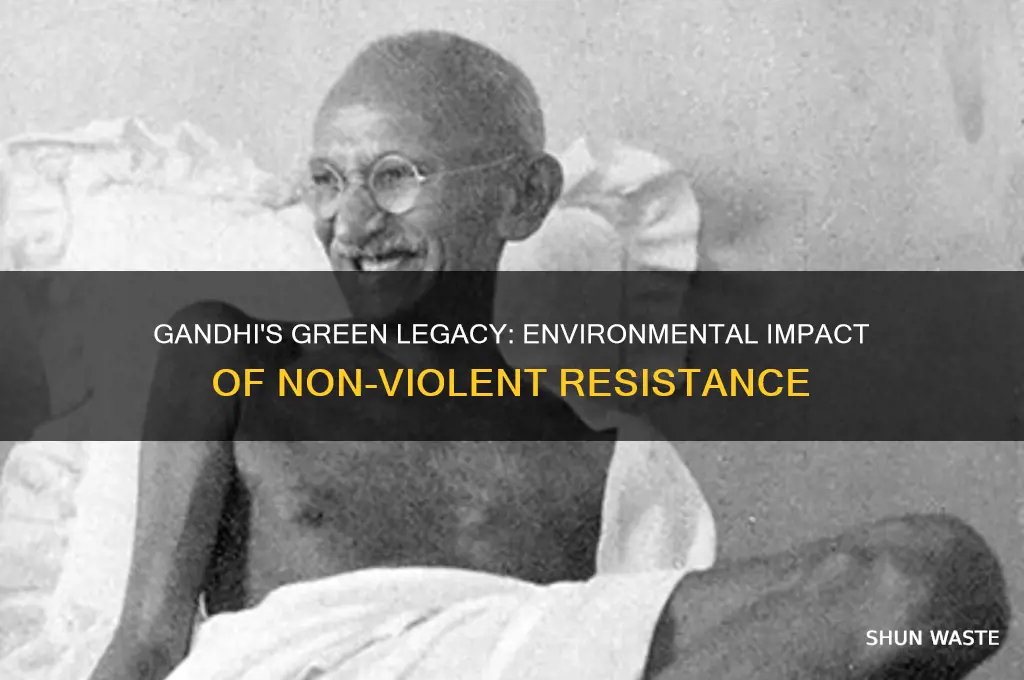how did gandhi affect the environment