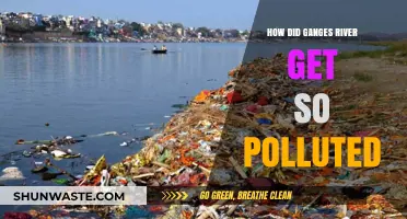 Ganges River: A Polluted Sacred Waterway