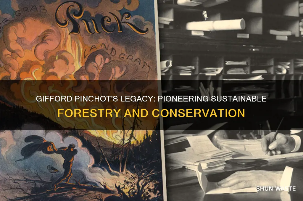 how did gifford pinchot help the environment