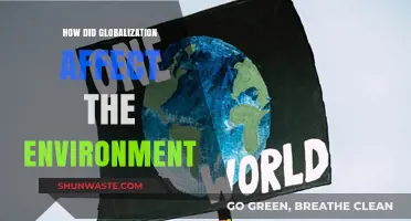 Globalization's Environmental Impact: Challenges, Consequences, and Sustainable Solutions