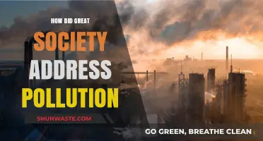Great Society's Fight Against Pollution