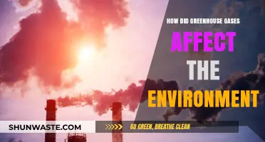 Greenhouse Gases: Unraveling Their Impact on Our Environment and Climate