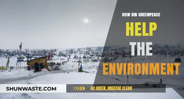 Greenpeace's Impact: Transforming Environmental Conservation Through Action and Advocacy