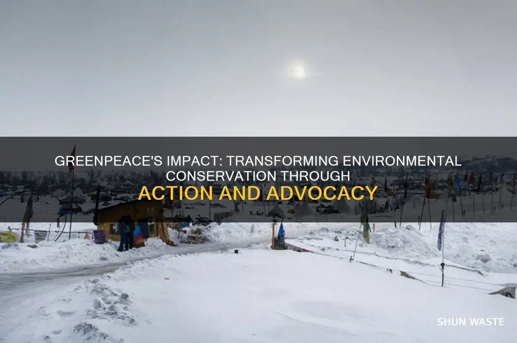 how did greenpeace help the environment
