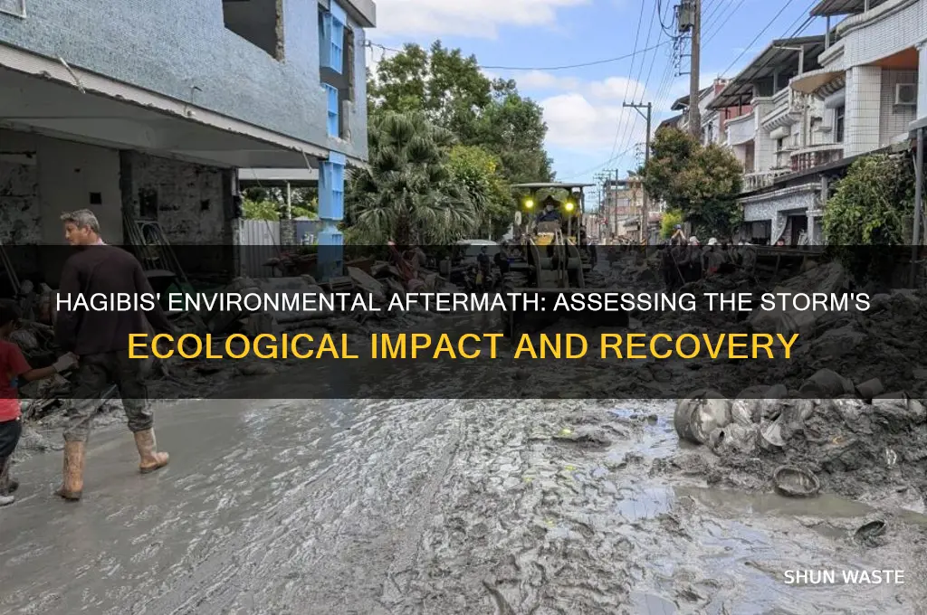 how did hagibis impact the environment