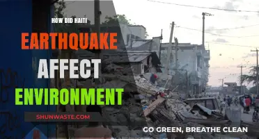 Haiti Earthquake's Environmental Impact: Devastation, Recovery, and Resilience