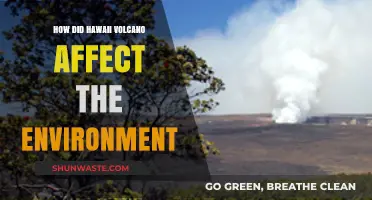 Hawaii's Volcanic Eruption: Environmental Impacts and Ecosystem Changes Explored