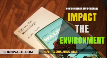 Thoreau's Legacy: Shaping Environmental Consciousness and Conservation Efforts